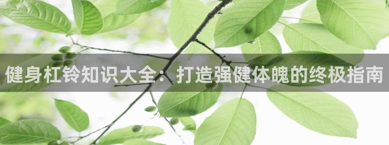 QY球友会体育官网